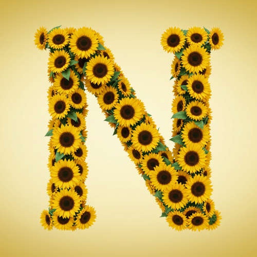 1000112986.png