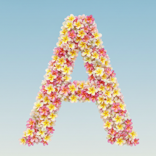 1000113630.png