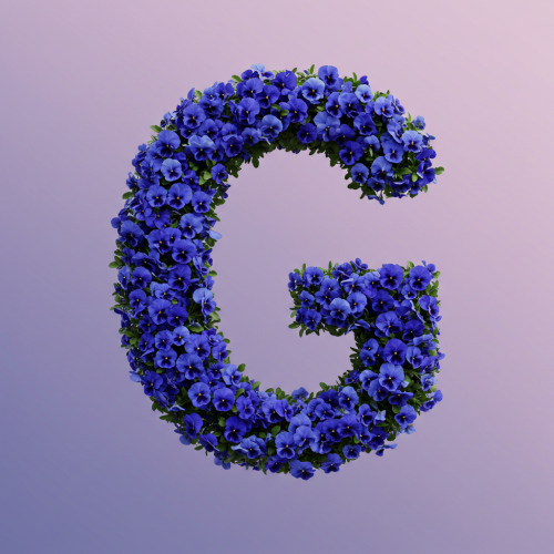 1000112588.png