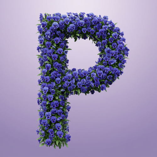 1000112665.png