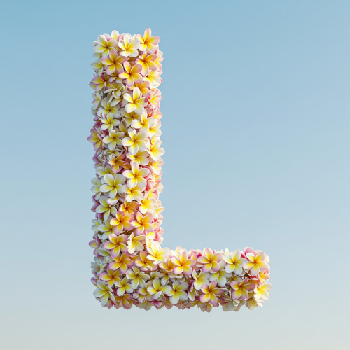 1000113653.png