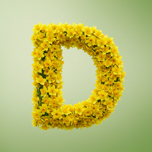 1000117717.png