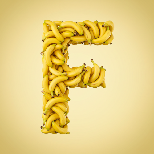 1000120451.png