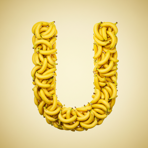 1000120513.png