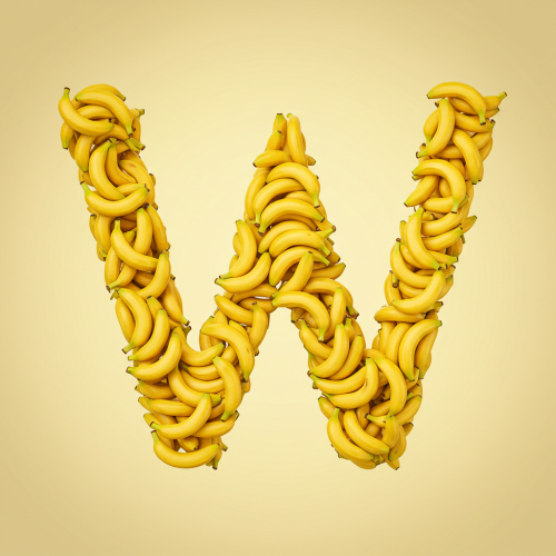1000120515.png