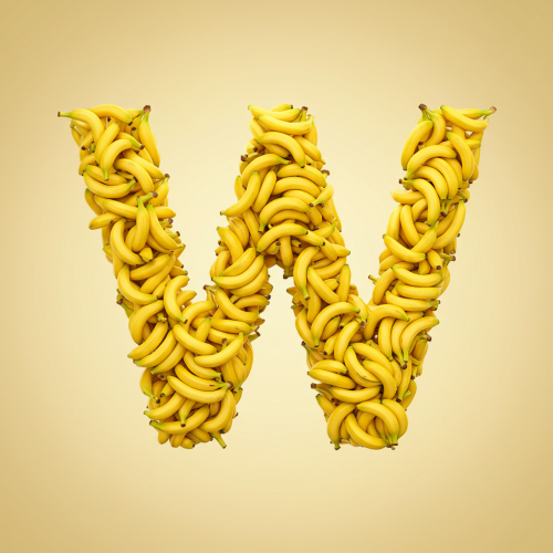1000120516.png
