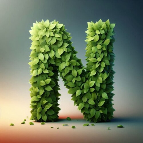 1000124410.jpg